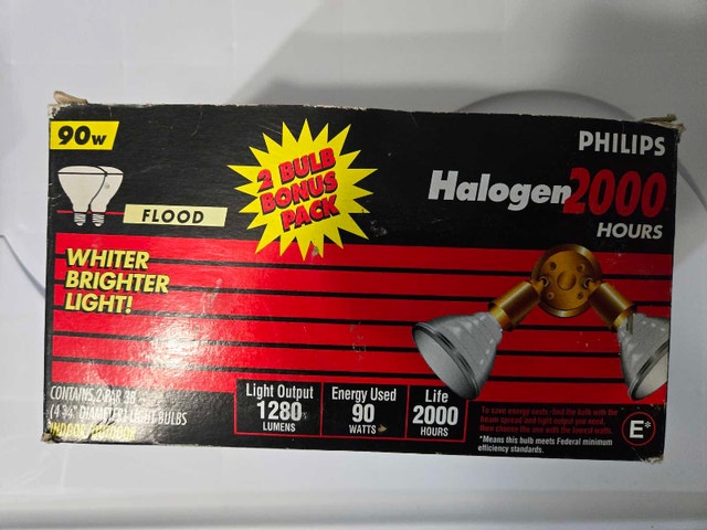 Philips Halogen 2000 Flood Lights