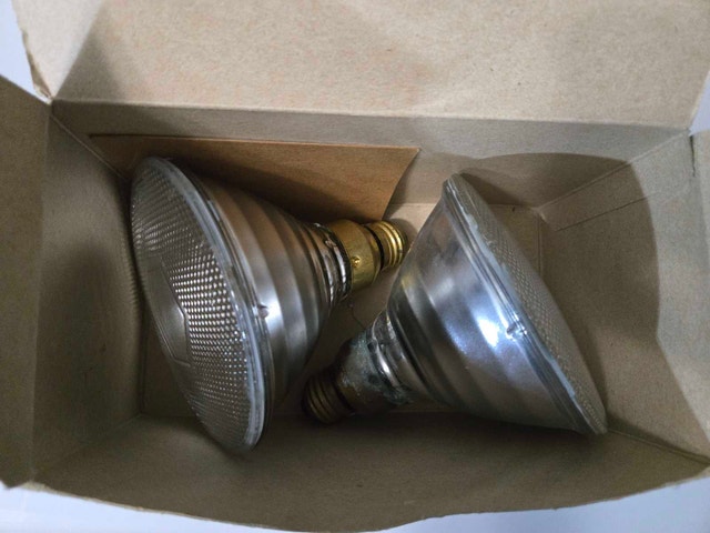Philips Halogen 2000 Flood Lights - photo 2