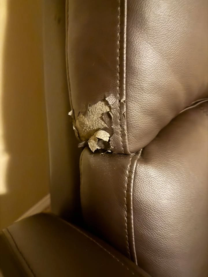 Dark Brown Recliner/Rocker - photo 3