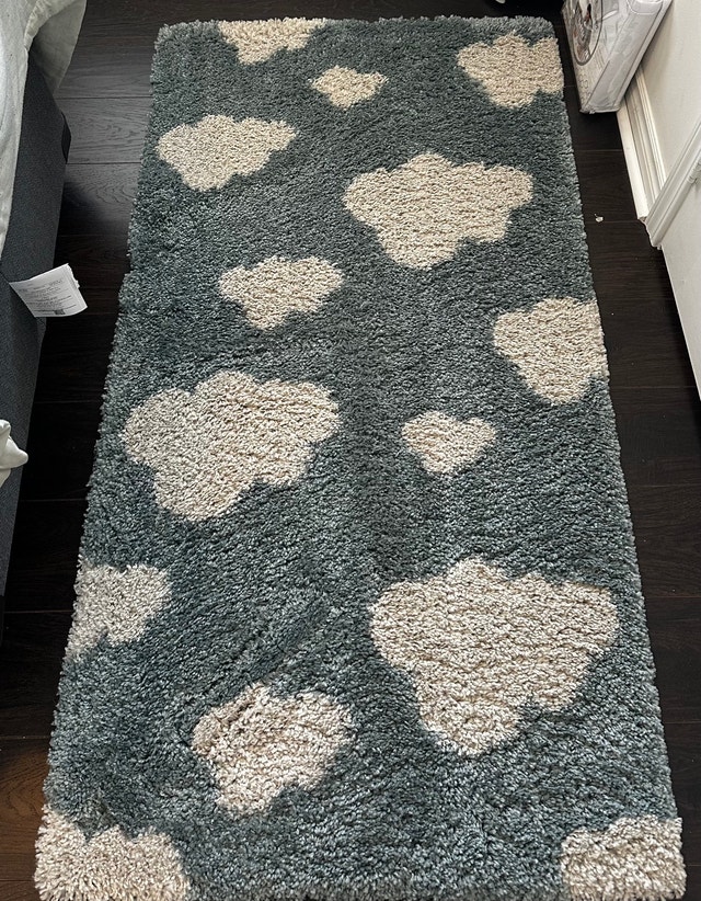 Broome Kestner Shag Teal/Cream Area Rug