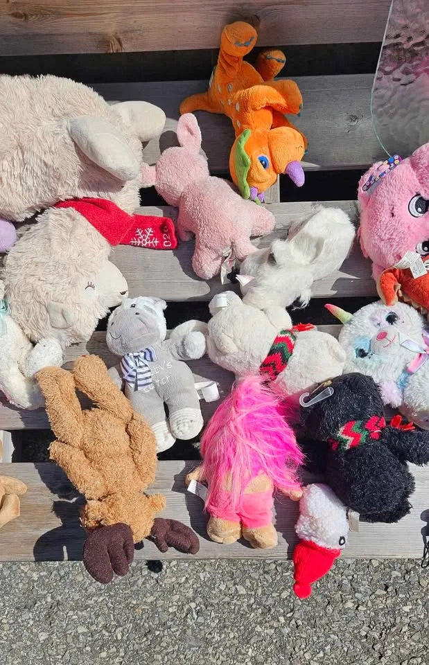 Large assortment of plush toys image indicator(3)