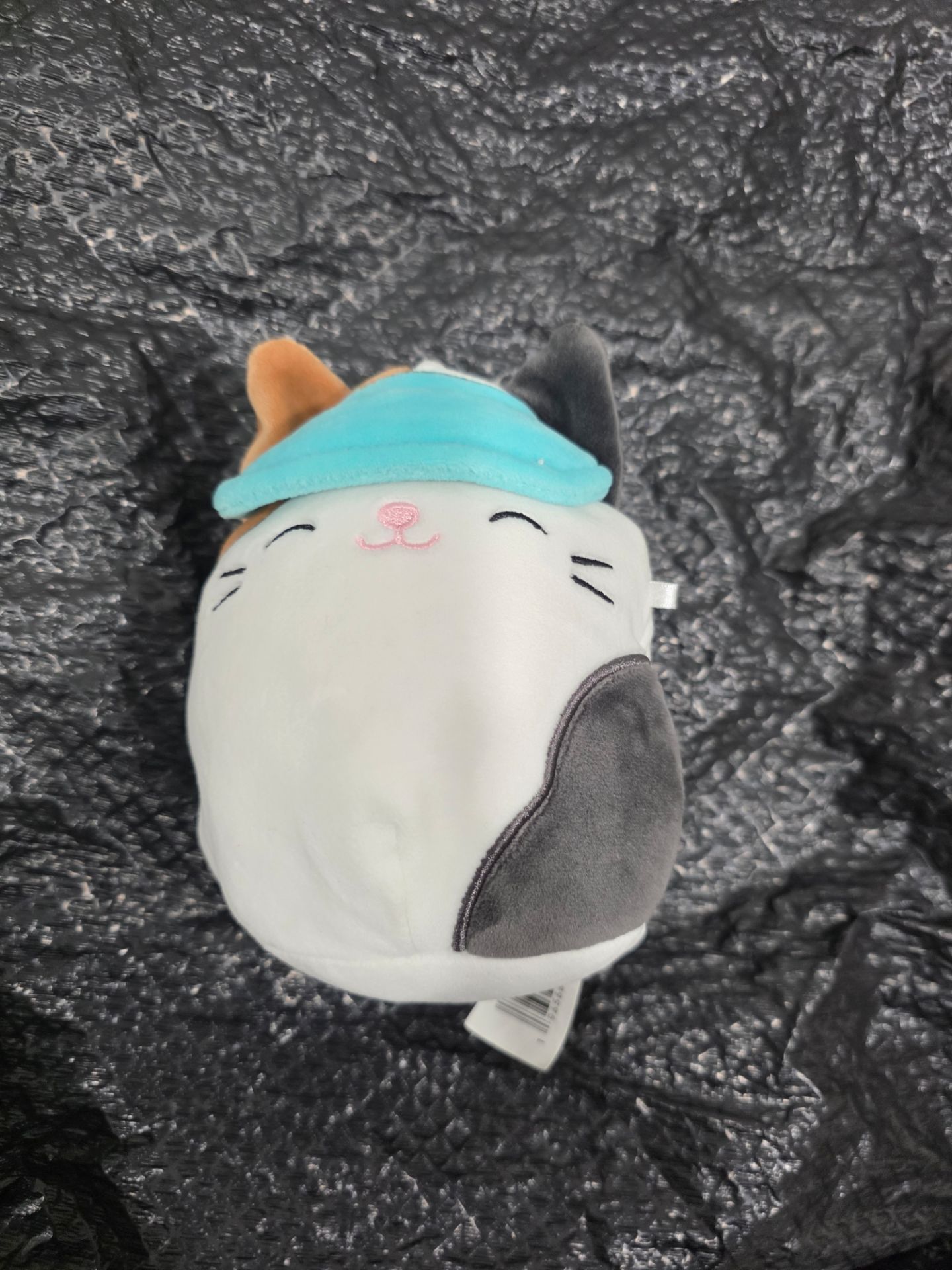 Squishmallow blue visor cat