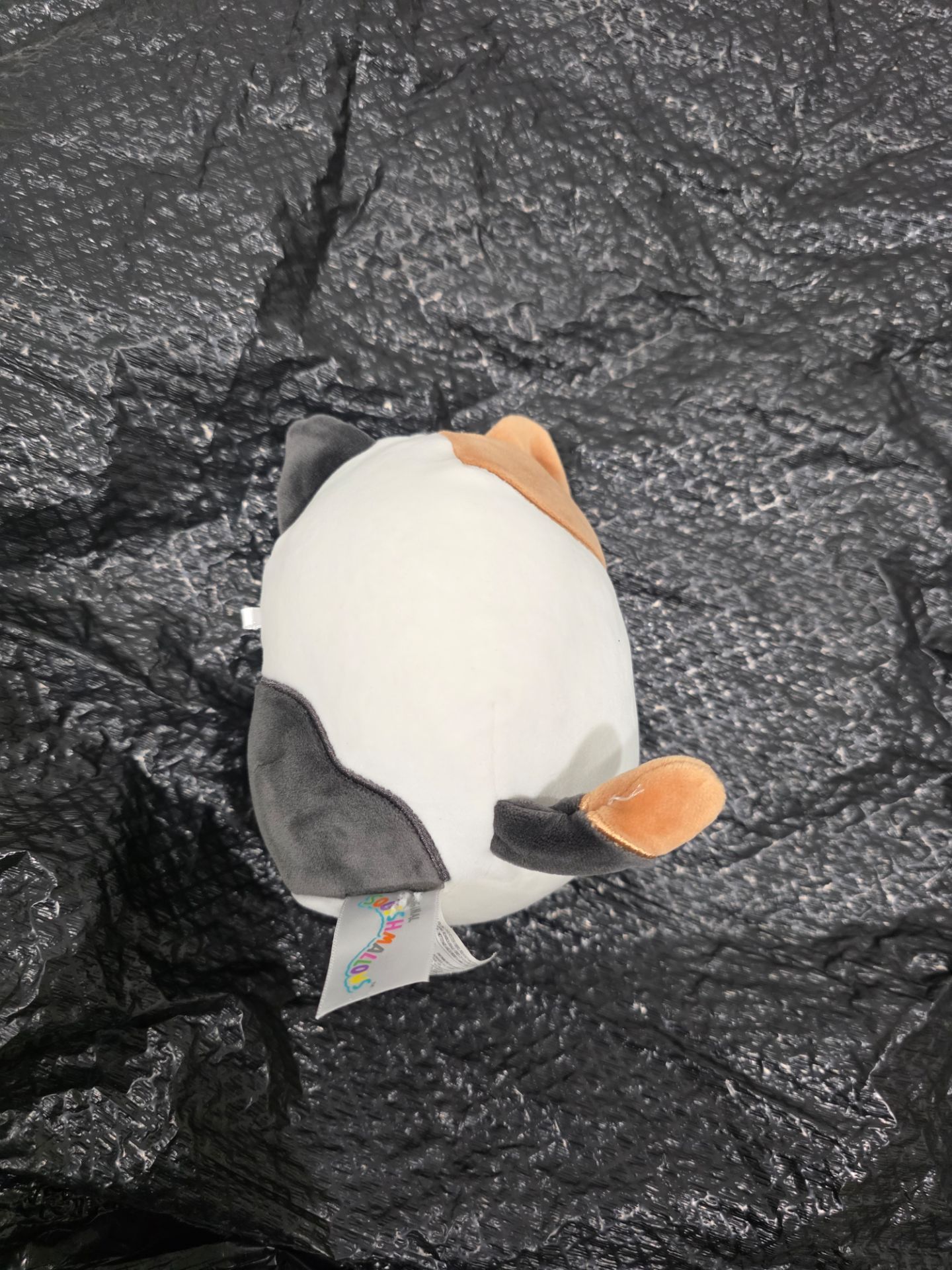 Squishmallow blue visor cat - photo 2