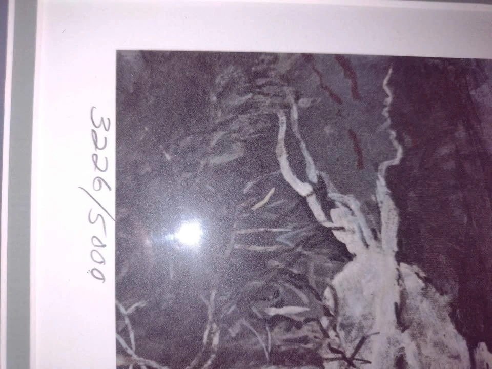 Authentic Robert Bateman Prints – Arctic Landscape & Gorilla - photo 3