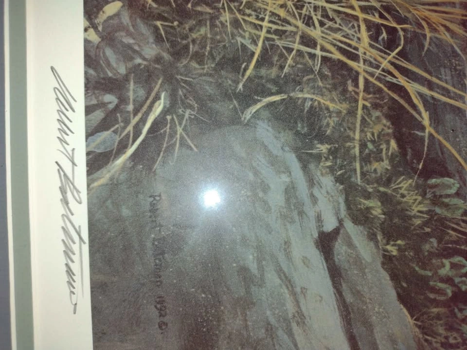 Authentic Robert Bateman Prints – Arctic Landscape & Gorilla - photo 4