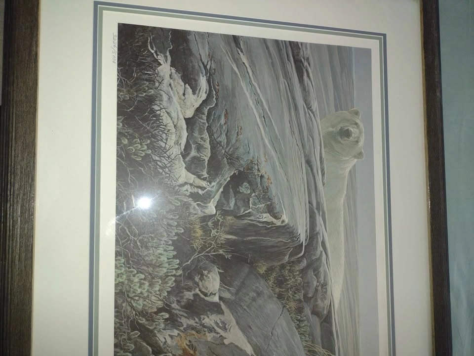 Authentic Robert Bateman Prints – Arctic Landscape & Gorilla - photo 5
