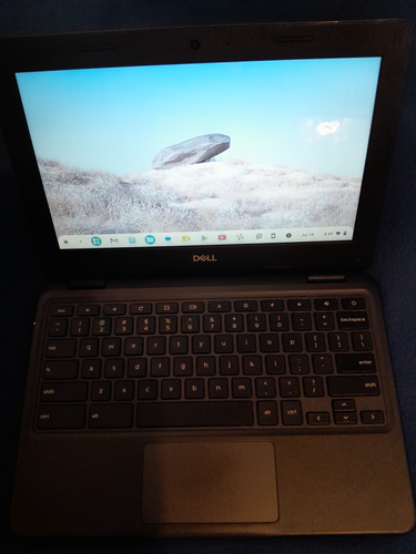 DELL Chromebook 3100 2-in-1 touchscreen No charger