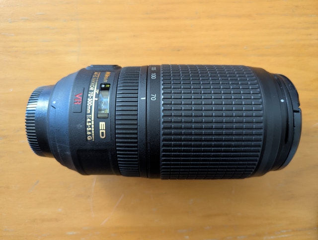 Nikon D300 Camera + Nikon 70-300mm ED + Nikon 17-55mm f/2.8 DX - photo 5