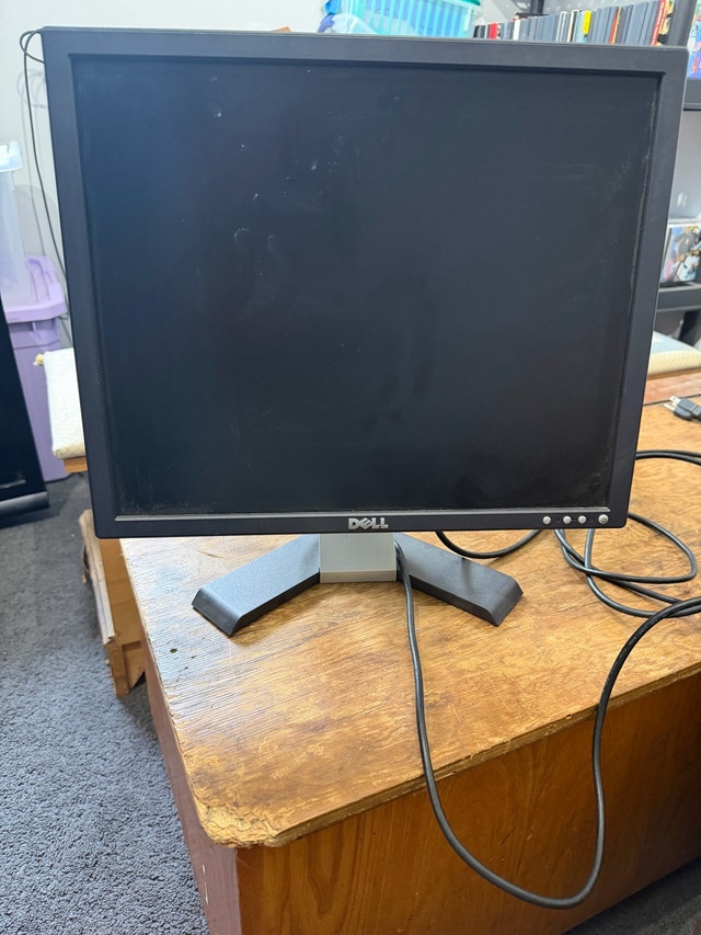 Dell E196FP