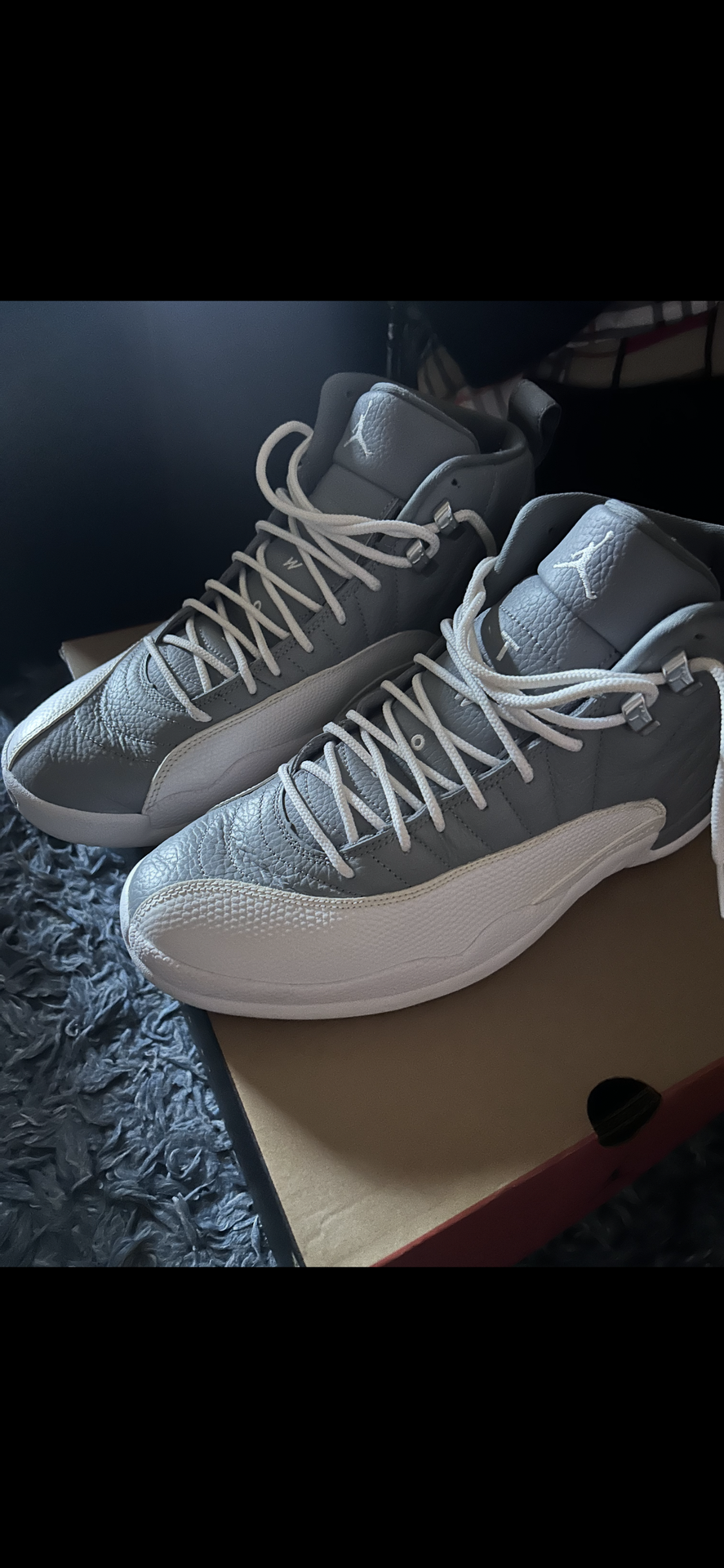 Jordan’s 12 grey