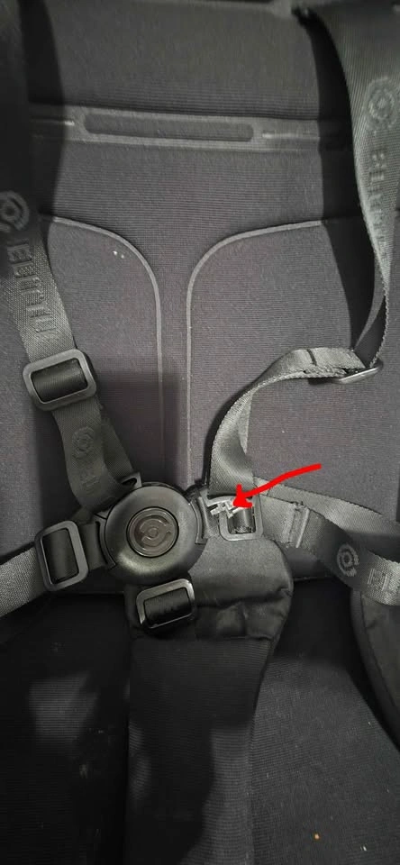 ELITTLE EMU Stroller - photo 5