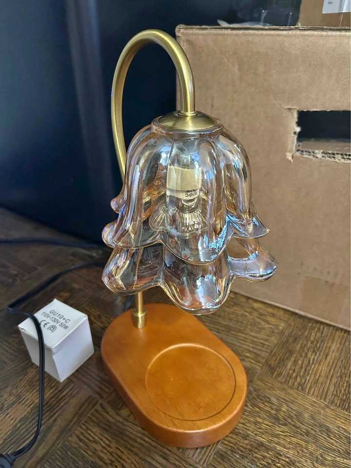 Electric Candle warmer