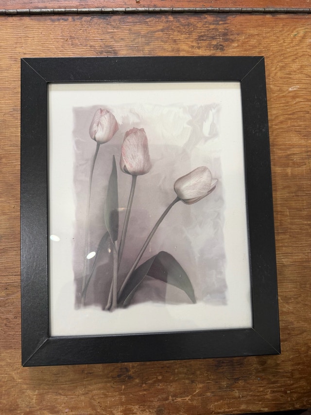 Tulip Art Print in Black Frame