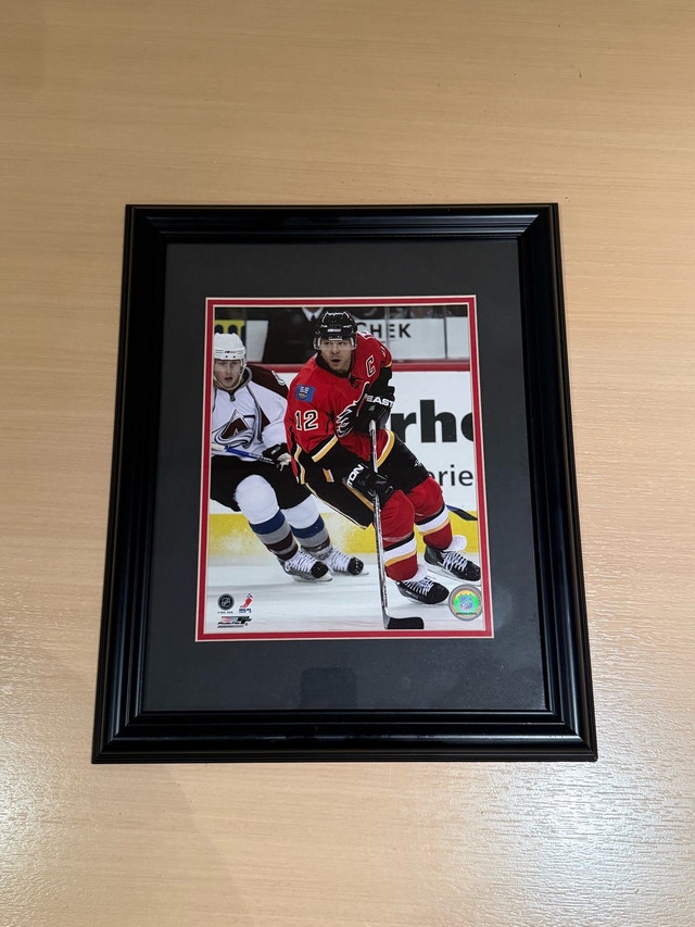 Jarome Iginla Calgary Flames Framed NHL Photo