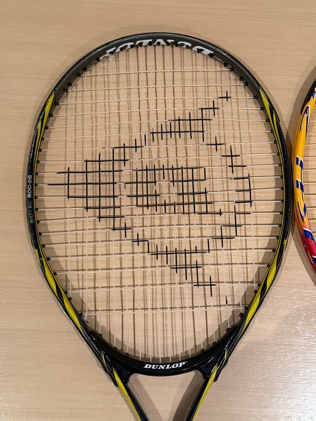 Dunlop Biotec 500-25 and Head Crush 25 Tennis Rackets - photo 4