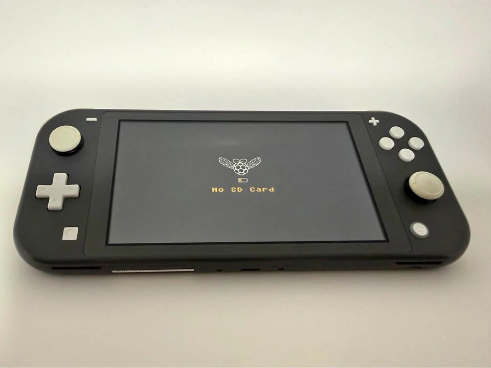 Modded Nintendo Switch Lite - Read Desc