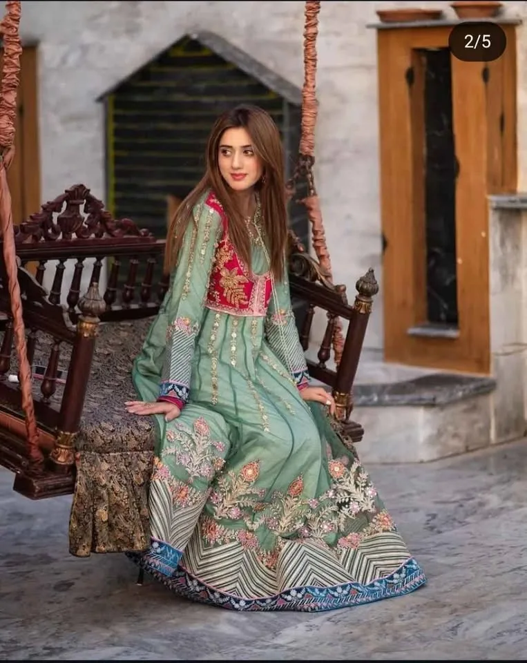 Brand new pakistani shalwar kameez gown - never worn image indicator(2)