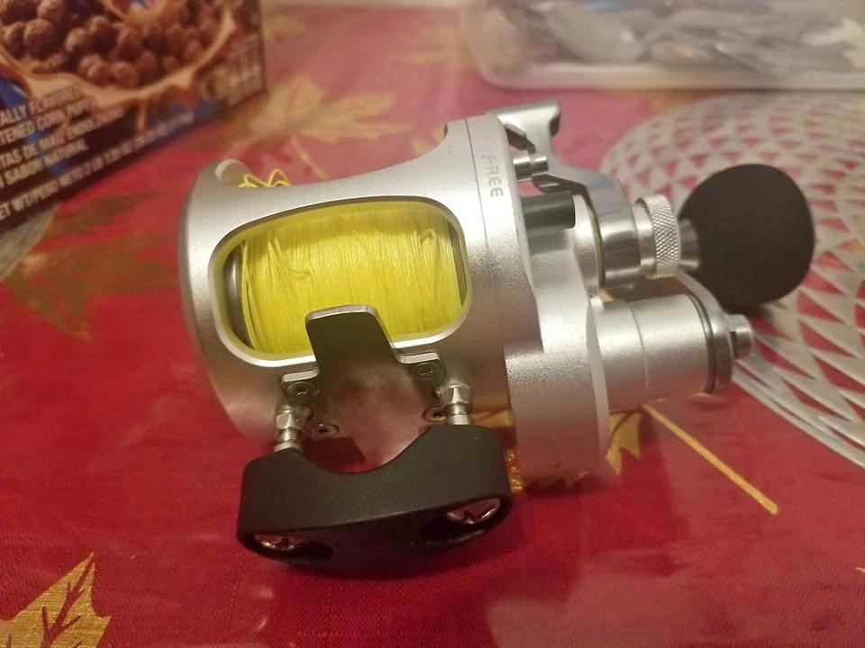 Fishing reel