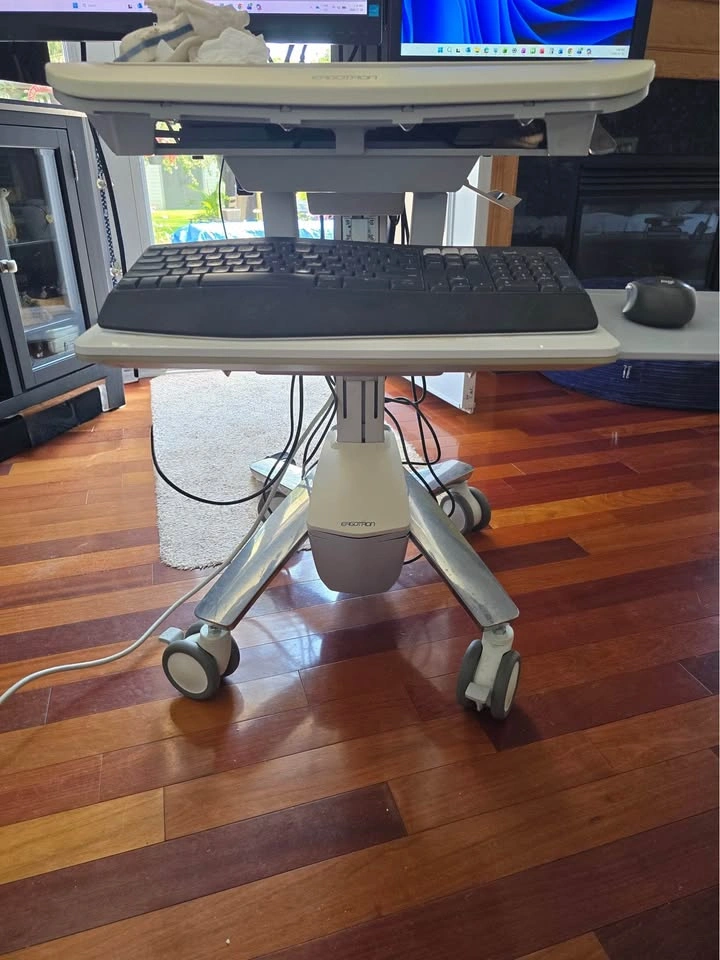 Ergotron StyleView Mobile Workstation Cart - photo 2
