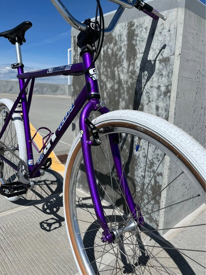 Custom GT Karakoram Urban Cruiser / Retro MTB Build - photo 3
