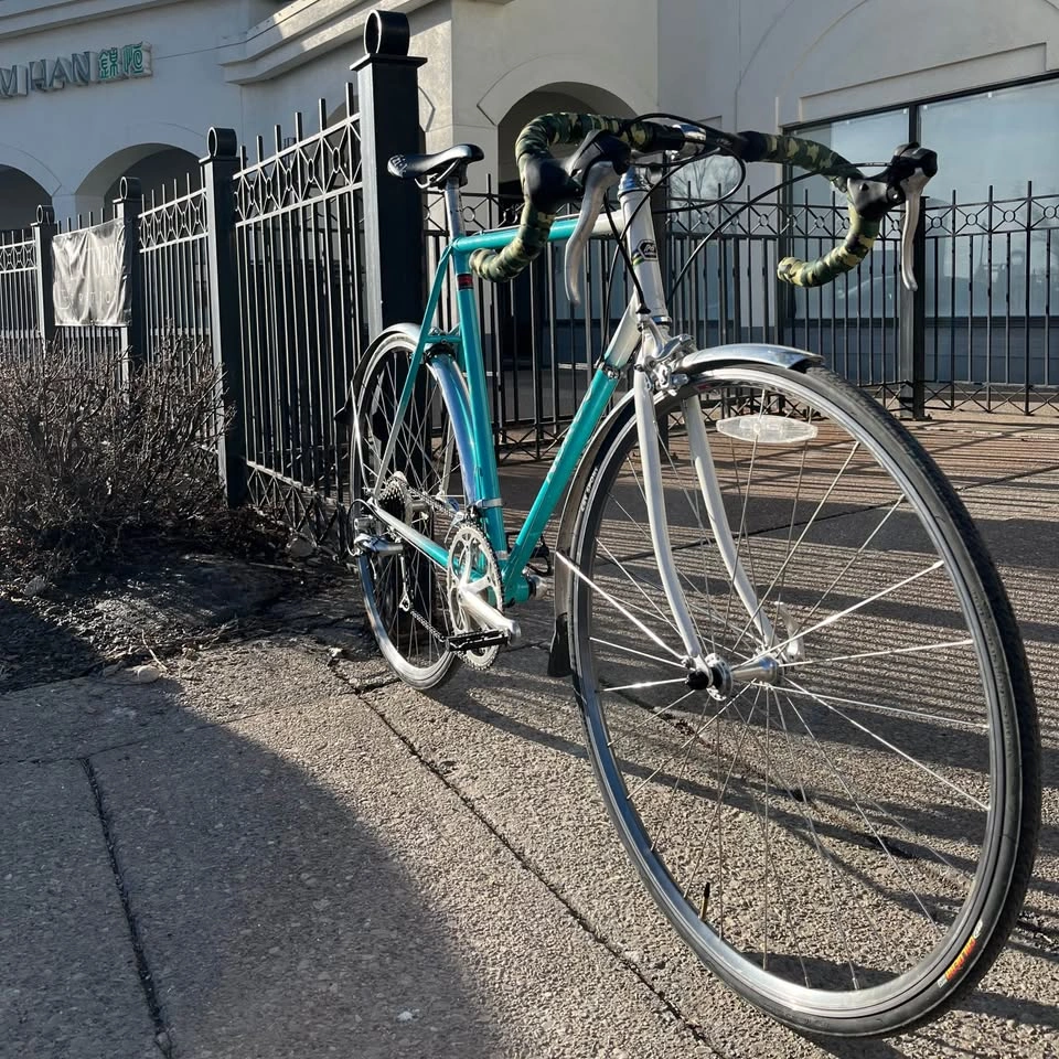 Norco Road Cruiser Bike