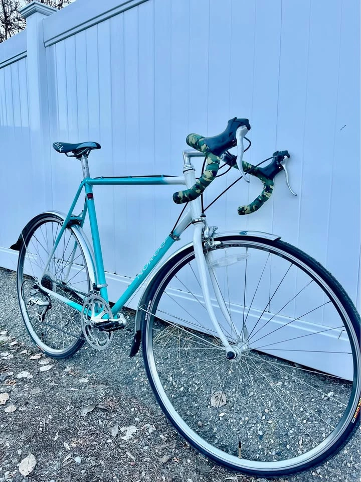 Norco Road Cruiser Bike - photo 3