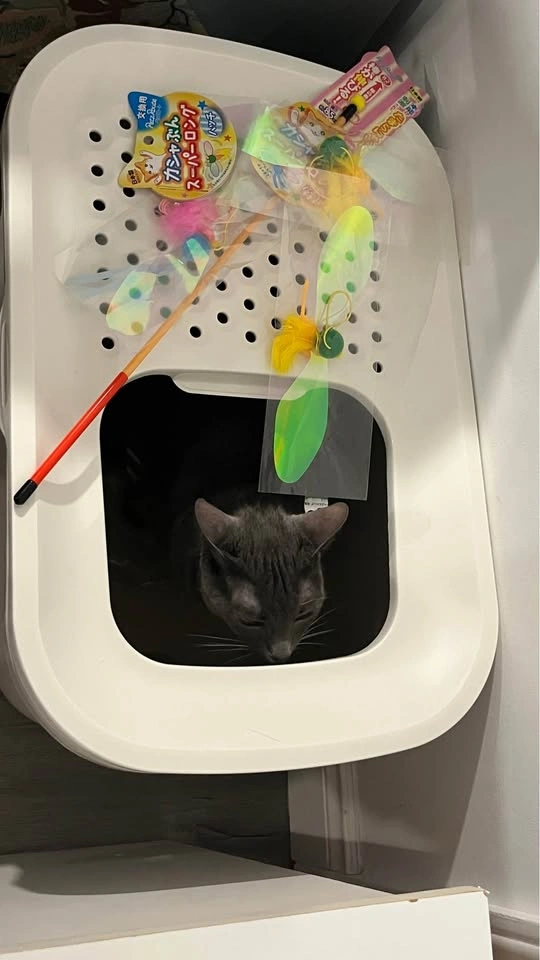 (move-out sale) Savic Hop In Top Entry Litter Tray - photo 2