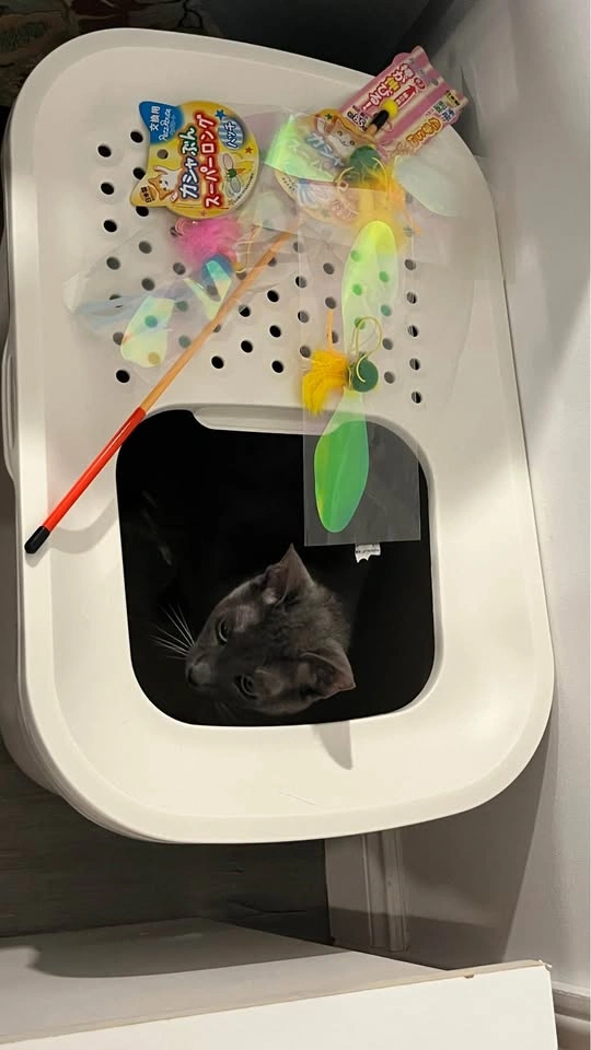 (move-out sale) Savic Hop In Top Entry Litter Tray - photo 3