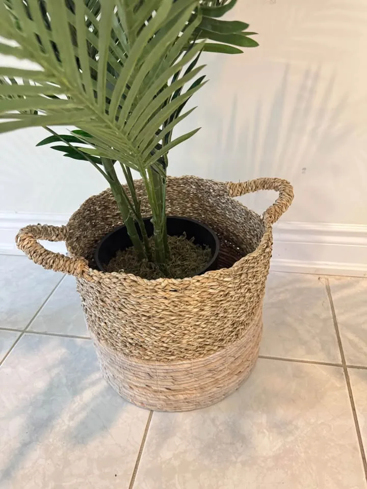 Fake plant with pot (retail $170) 58 inches tall image indicator(3)