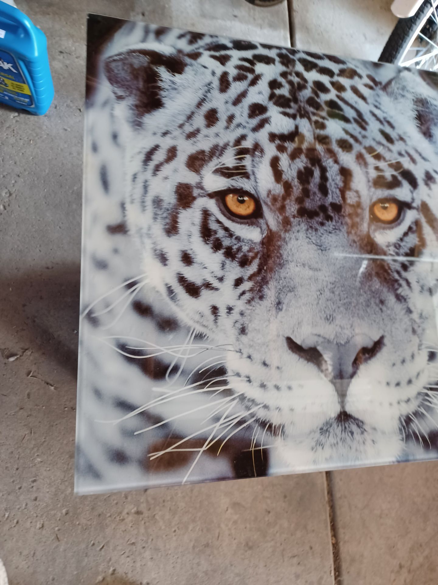 Majestic glass leopard print 24x23 nice solid wall art - photo 2