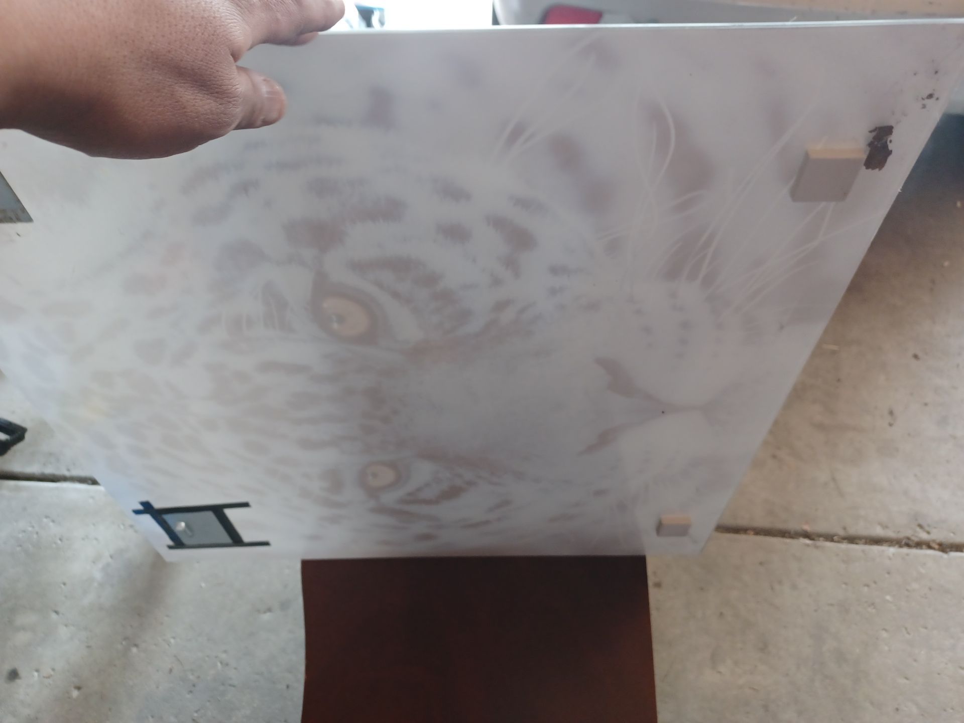 Majestic glass leopard print 24x23 nice solid wall art - photo 4