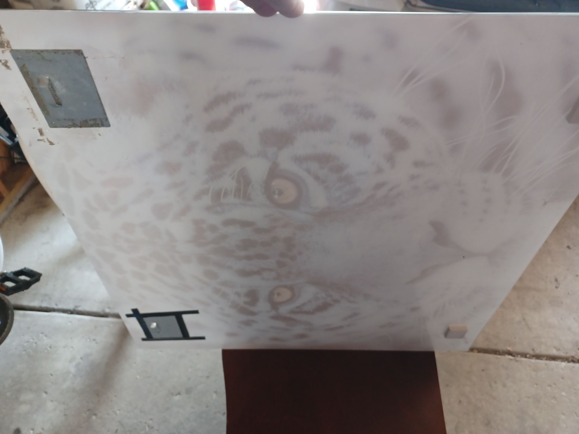 Majestic glass leopard print 24x23 nice solid wall art - photo 5