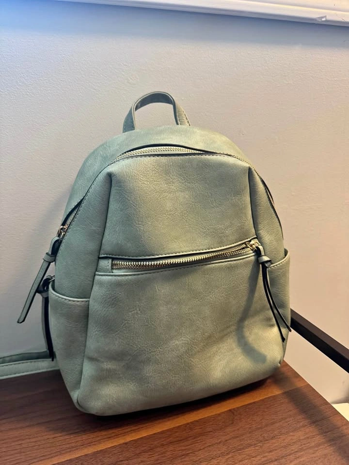 Light Sage purse