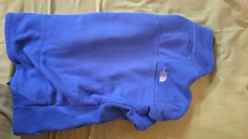 The North Face Blue Fleece Jacket L - photo 4