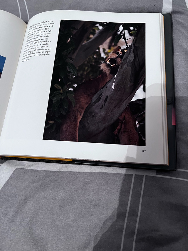 Freeman Patterson: Photography of Natural Things - photo 4