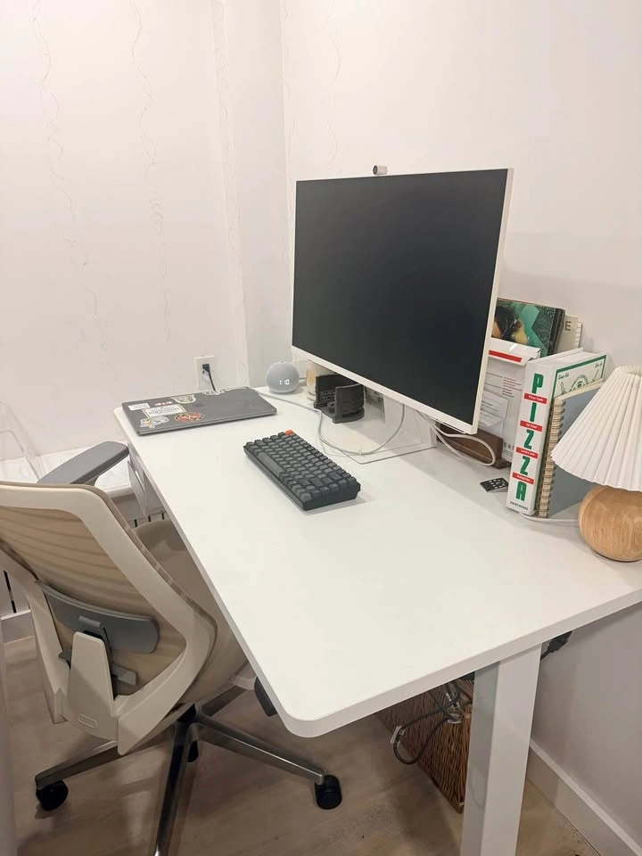 Flexispot Standing desk