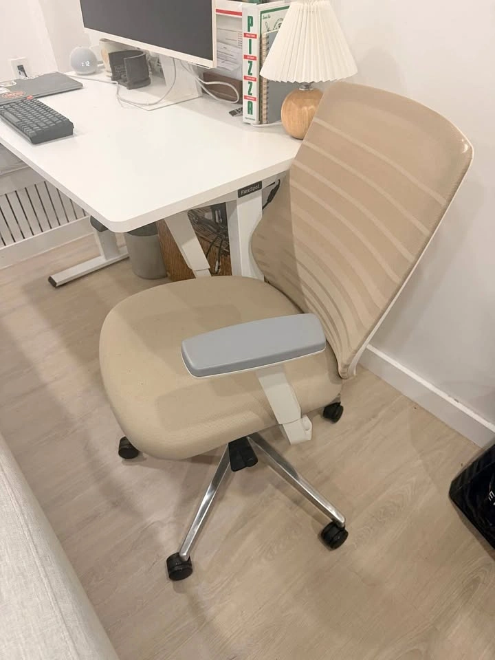 Branch ergonomic chair