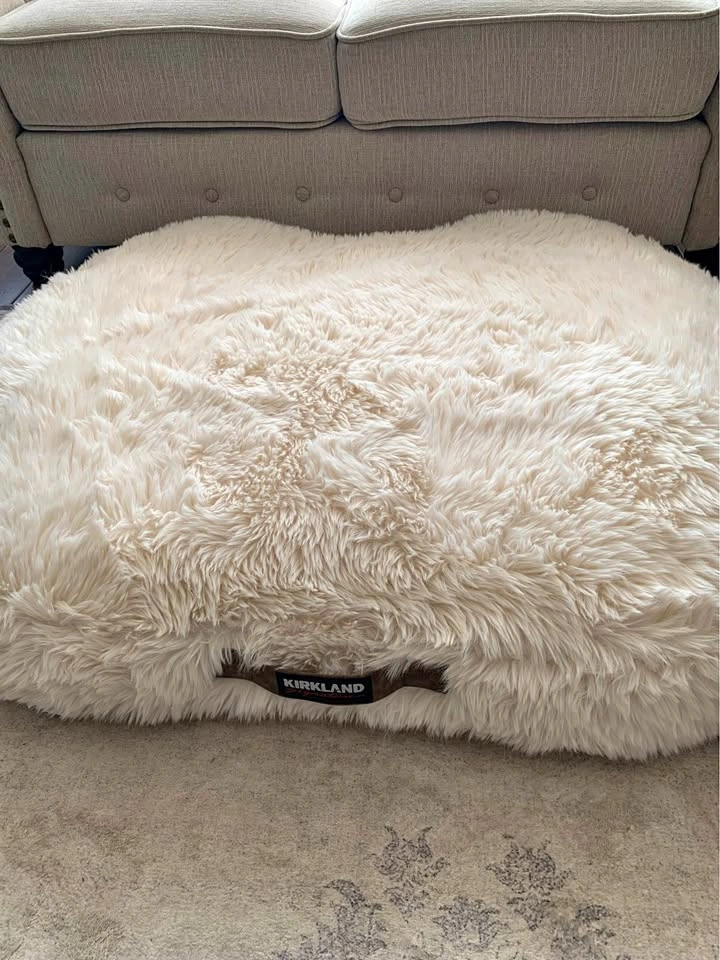 🐾 NEW Kirkland Signature Aero Cloud Dog Bed – Costco 40” × 32”