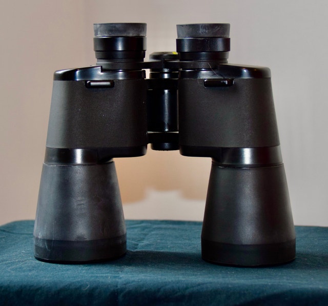 Bushnell Falcon Binoculars 10x50 - photo 2