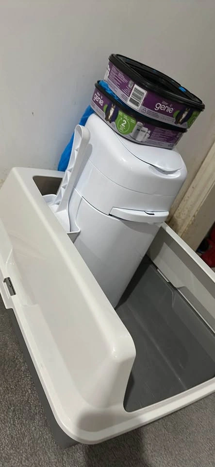 Cat Litter Bundle – $60 - photo 4