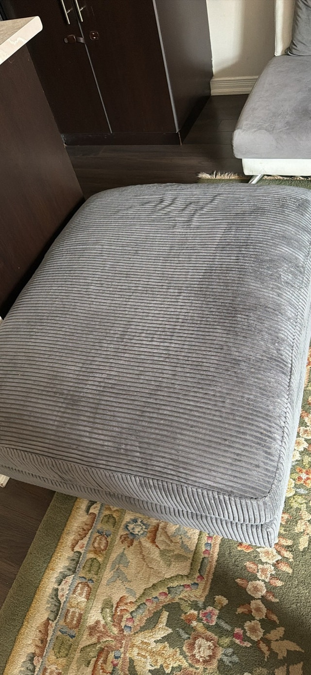 2 set Day bed (free ottoman) - photo 5