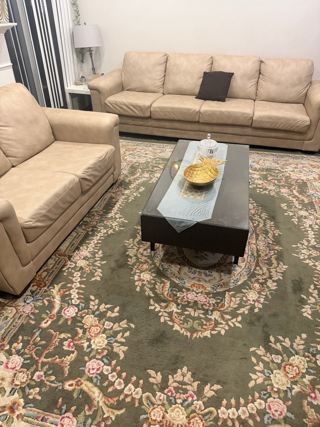 Sofa Set, (free Coffee Table, and Rug)
