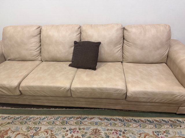 Sofa Set, (free Coffee Table, and Rug) - photo 2