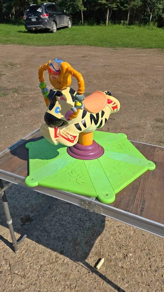 Fisher-Price Bounce and Spin Zebra