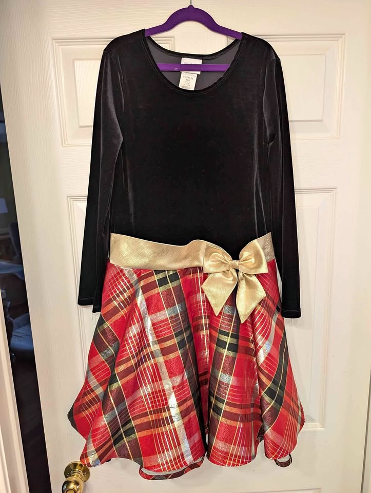 Girls Fancy Dress Size 16