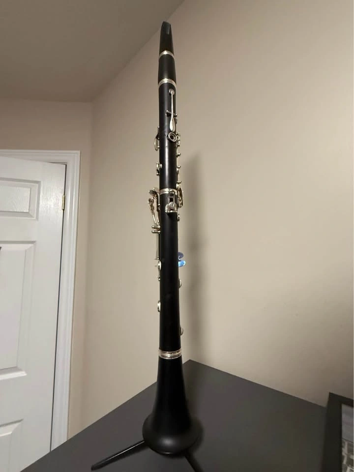 BUFFET CRAMPON E12F Bb Grenadilla Clarinet Bundle - photo 2