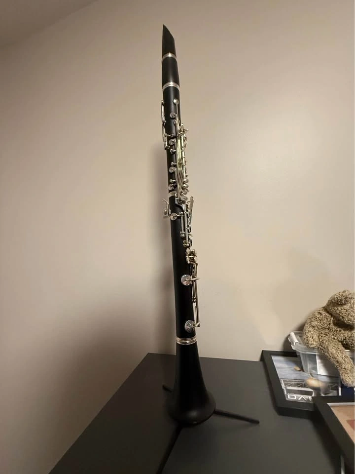 BUFFET CRAMPON E12F Bb Grenadilla Clarinet Bundle - photo 3