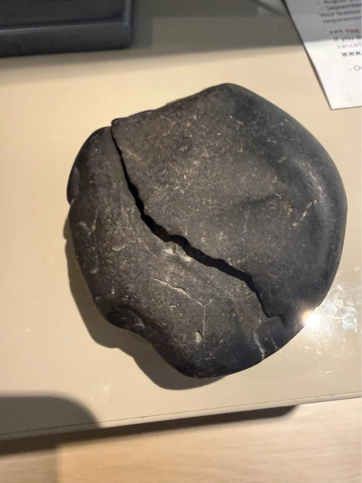 Nepalese Ammonite Fossil in Natural Stone Matrix - photo 3