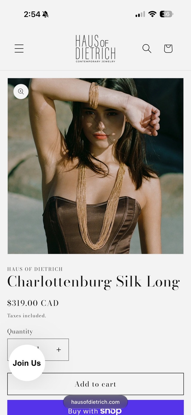 Haus of Dietrich Charlottenburg Silk Long Necklace