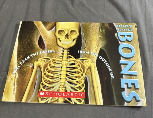 Body Basics Bones